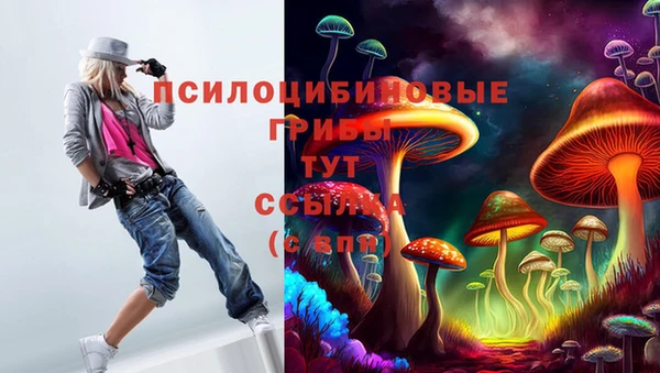 соль ск Алзамай
