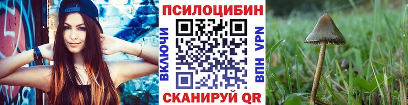 закладка  Красноуральск  Псилоцибиновые грибы Psilocybine cubensis 